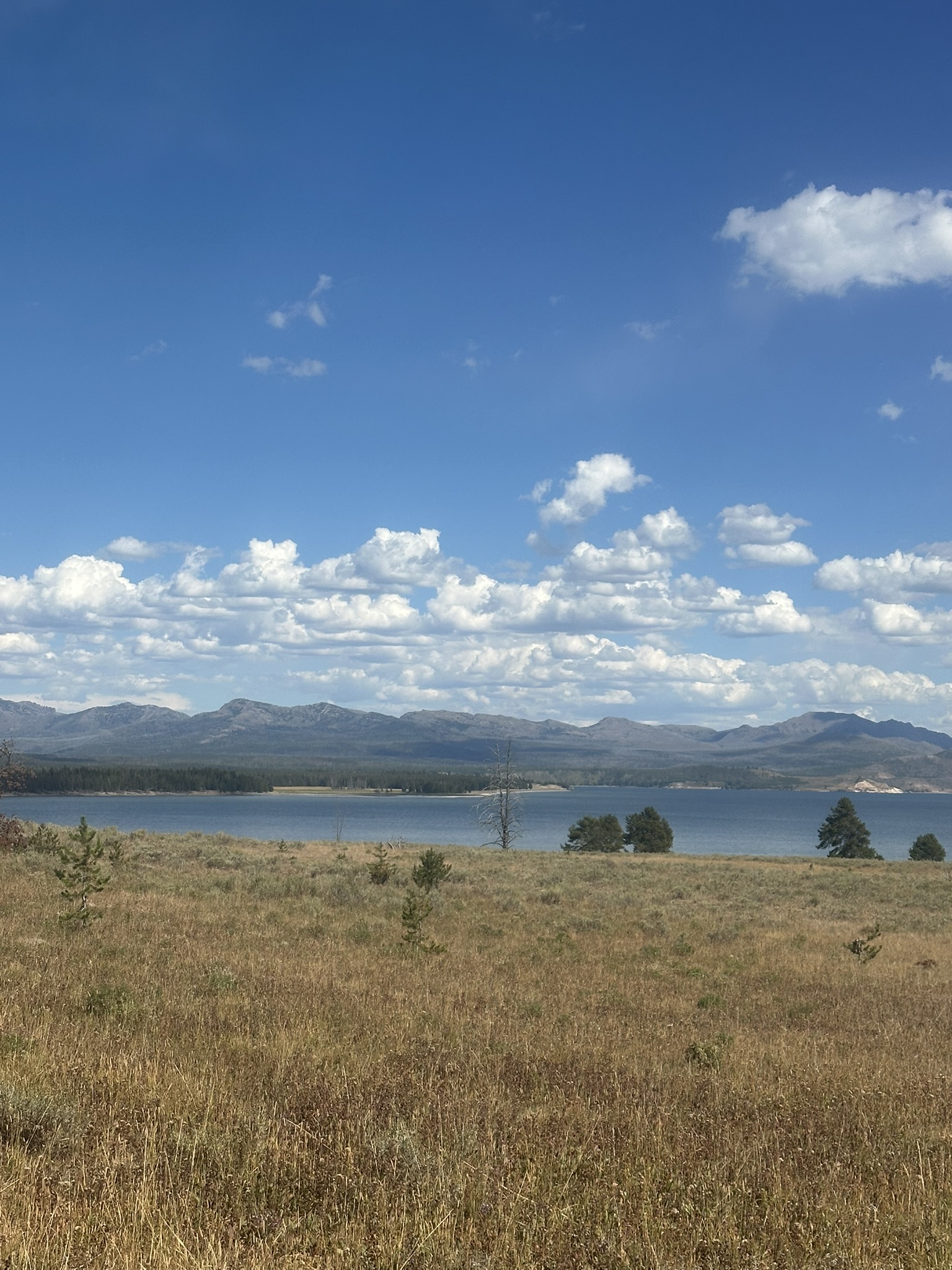 Yellowstone And Grand Teton National Parks - Image 1455